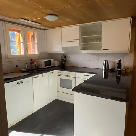 Metsch Apartamento Lenk