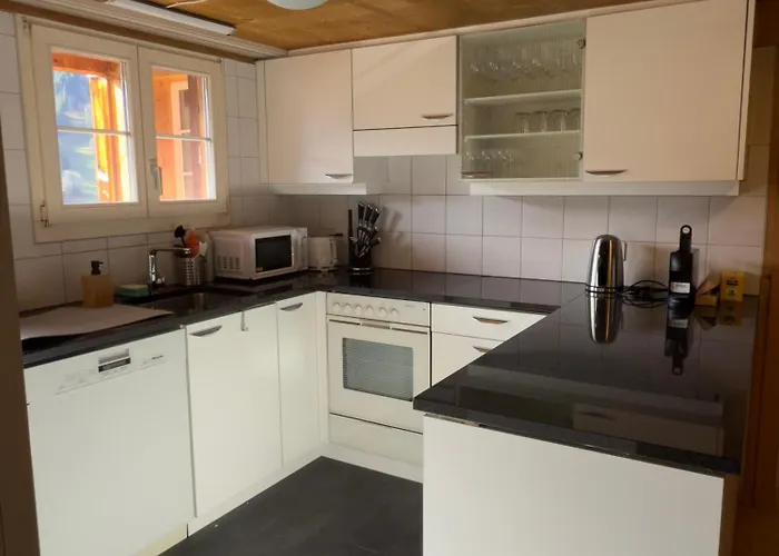 Metsch Apartament Lenk